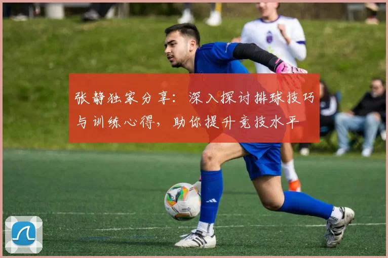 张静独家分享：深入探讨排球技巧与训练心得，助你提升竞技水平