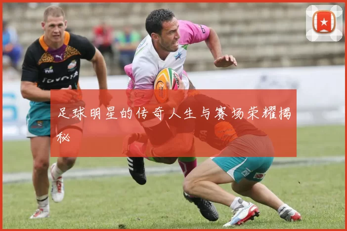 足球明星的传奇人生与赛场荣耀揭秘