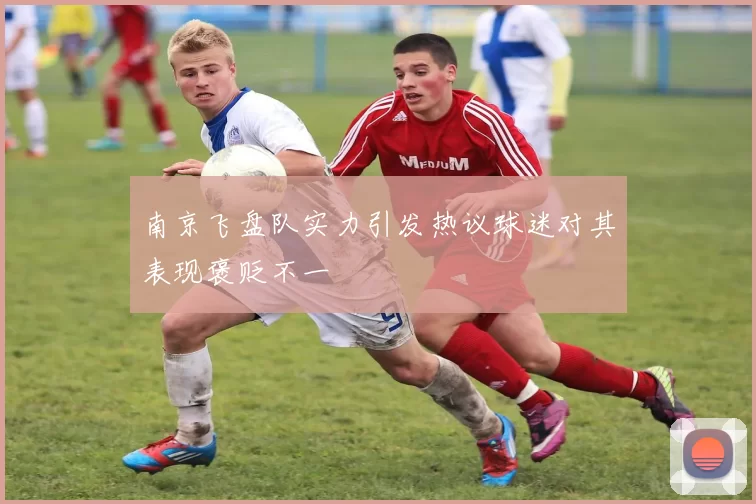 南京飞盘队实力引发热议球迷对其表现褒贬不一