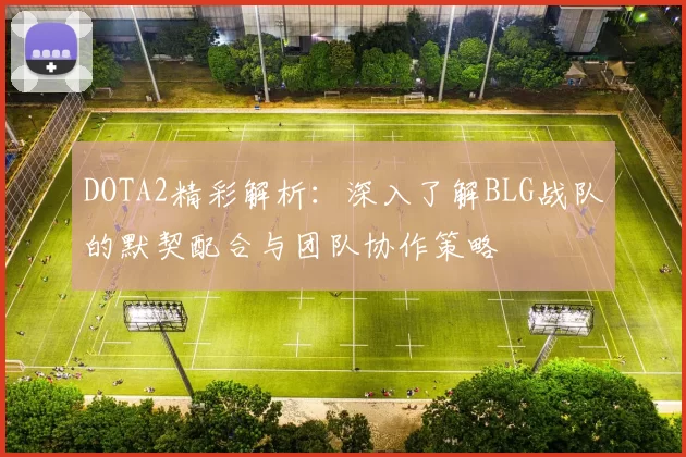 DOTA2精彩解析：深入了解BLG战队的默契配合与团队协作策略