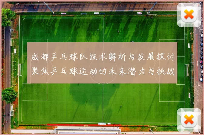 成都乒乓球队技术解析与发展探讨聚焦乒乓球运动的未来潜力与挑战