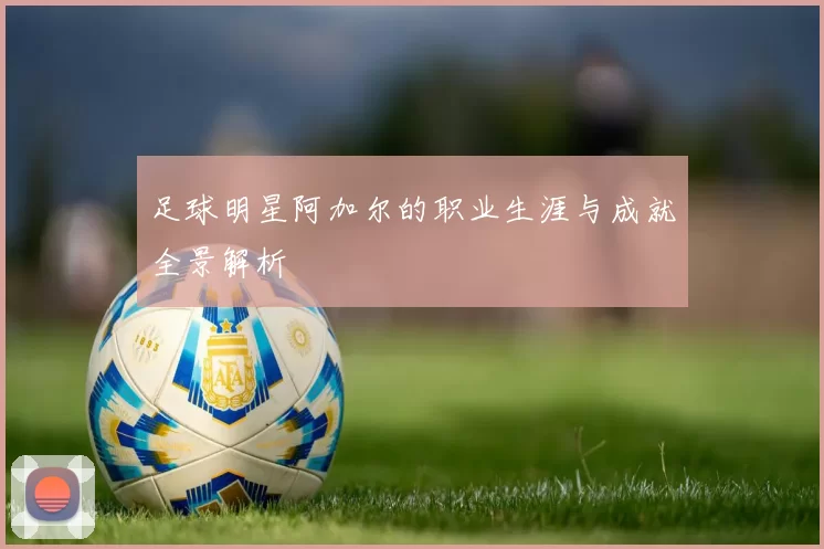 足球明星阿加尔的职业生涯与成就全景解析