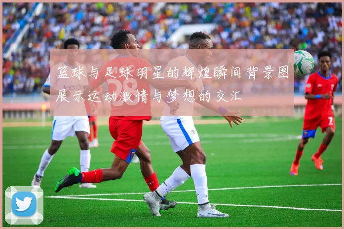篮球与足球明星的辉煌瞬间背景图展示运动激情与梦想的交汇