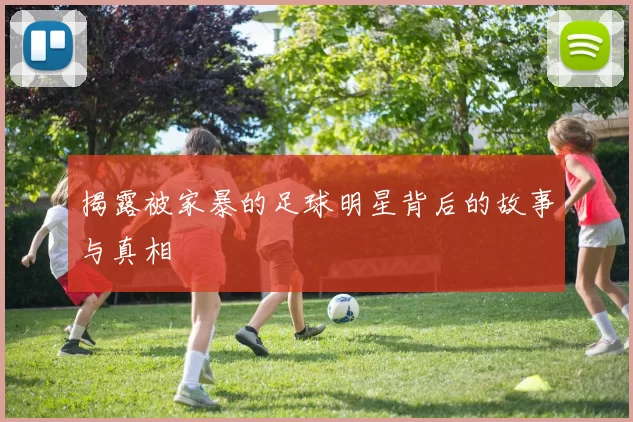 揭露被家暴的足球明星背后的故事与真相