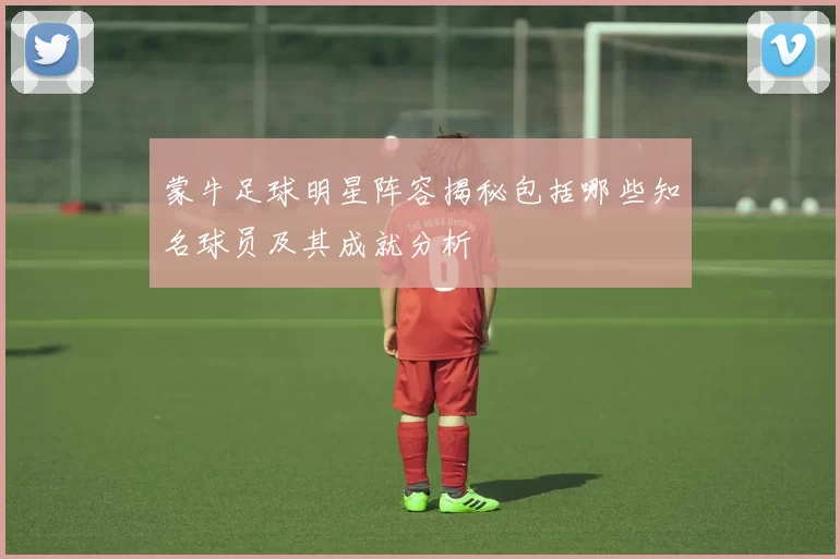 蒙牛足球明星阵容揭秘包括哪些知名球员及其成就分析