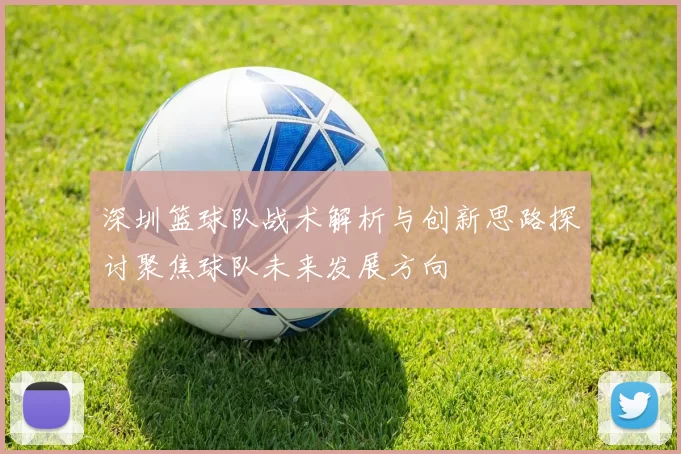 深圳篮球队战术解析与创新思路探讨聚焦球队未来发展方向
