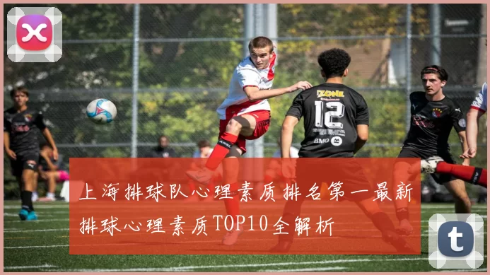 上海排球队心理素质排名第一最新排球心理素质TOP10全解析
