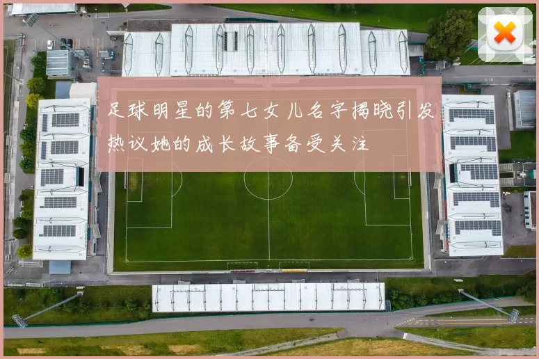 足球明星的第七女儿名字揭晓引发热议她的成长故事备受关注