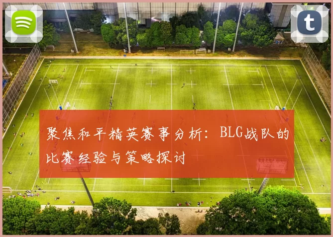 聚焦和平精英赛事分析：BLG战队的比赛经验与策略探讨