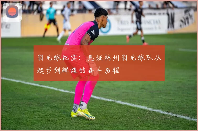 羽毛球纪实：见证杭州羽毛球队从起步到辉煌的奋斗历程