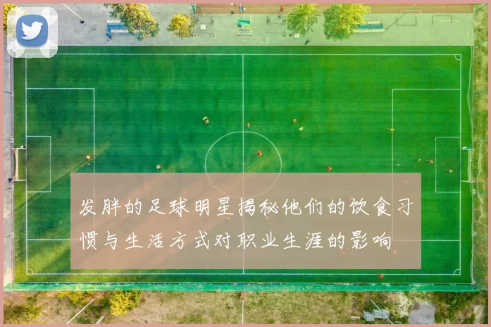 发胖的足球明星揭秘他们的饮食习惯与生活方式对职业生涯的影响