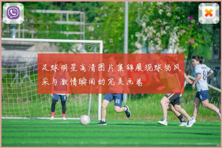 足球明星高清图片集锦展现球场风采与激情瞬间的完美画卷