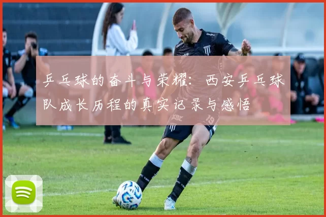 乒乓球的奋斗与荣耀：西安乒乓球队成长历程的真实记录与感悟