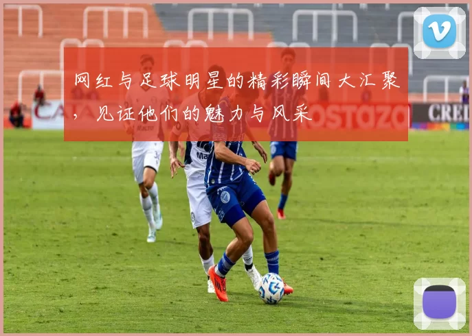 网红与足球明星的精彩瞬间大汇聚，见证他们的魅力与风采