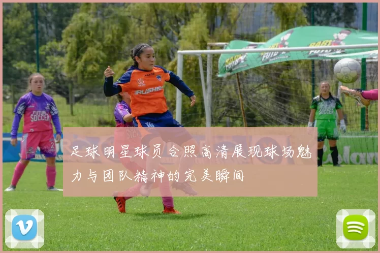 足球明星球员合照高清展现球场魅力与团队精神的完美瞬间