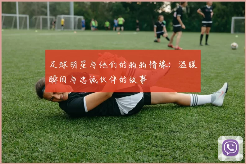 足球明星与他们的狗狗情缘：温暖瞬间与忠诚伙伴的故事